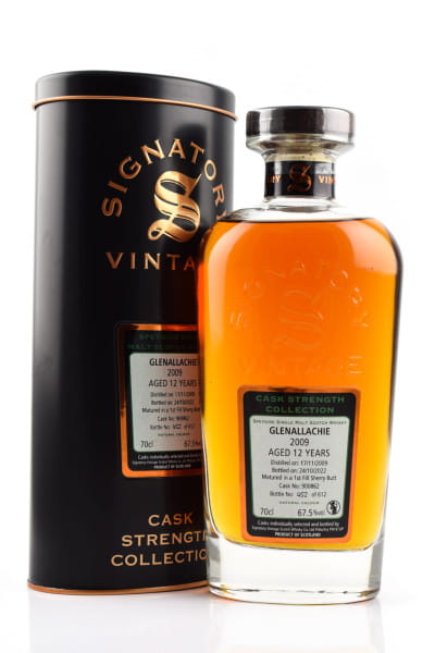 GlenAllachie 13 Jahre 2009/2022 1st-fill Sherry Butt #900862 Signatory Cask Strength Coll. 67,5%vol. 0,7l